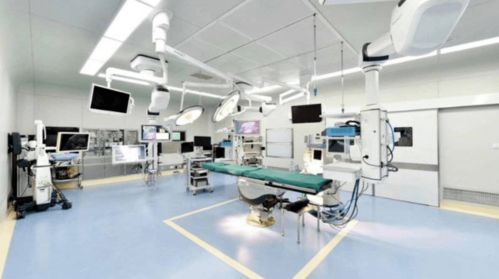 光谷4家公司13天内密集IPO获受理，驾考宝典领跑移动互联网技术开发领域